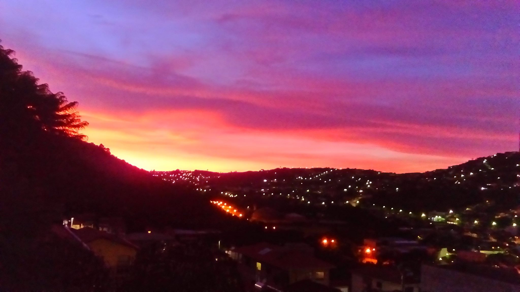 12633739 512382578887038 2662559143156418476 o